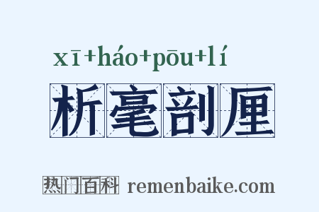 析毫剖厘是什么意思的图片